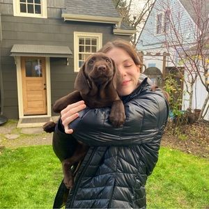 Meet your Posher, Willow